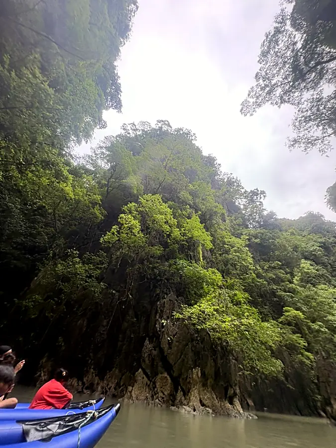 View from a blue kayak up a jungle-covered limestone cliff