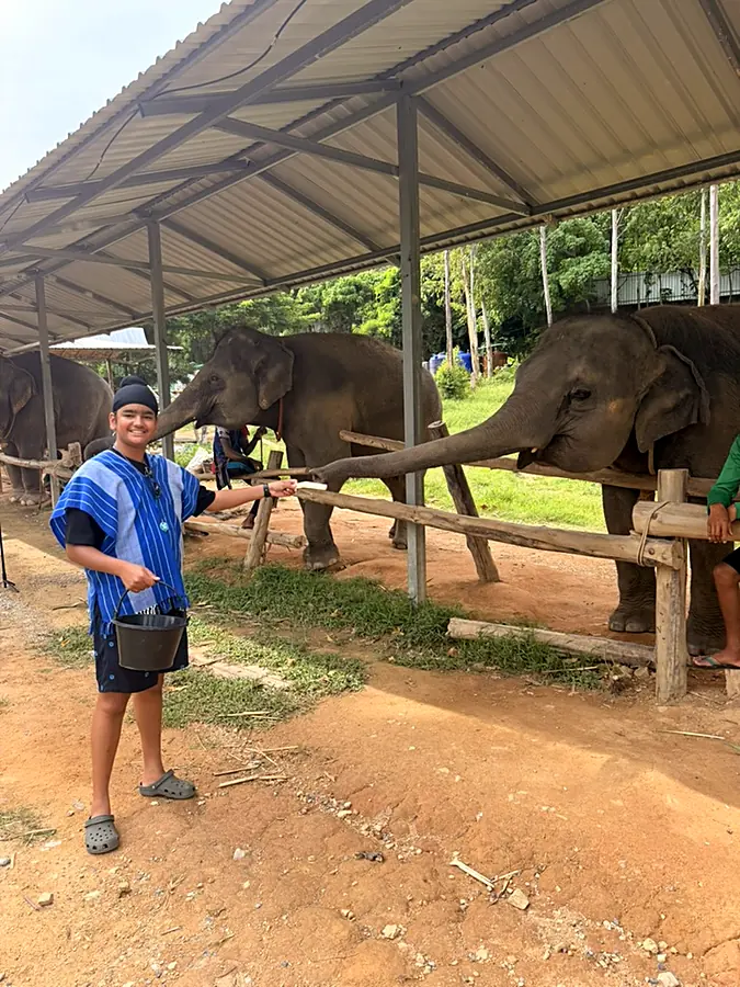 Feeding an elephant over a wooden rail, bucket in hand, in a blue woven poncho